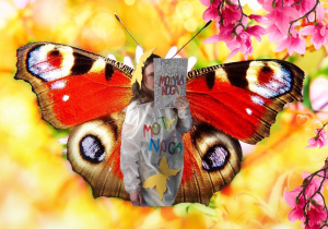 Zdjęcie 4- dziewczynka z książką i skrzydłami motyla w wiosennej scenerii